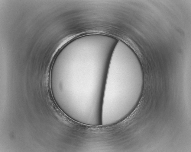 X0000116051044200911201038