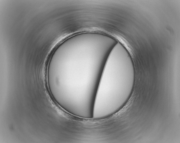 X0000116051046200911201039