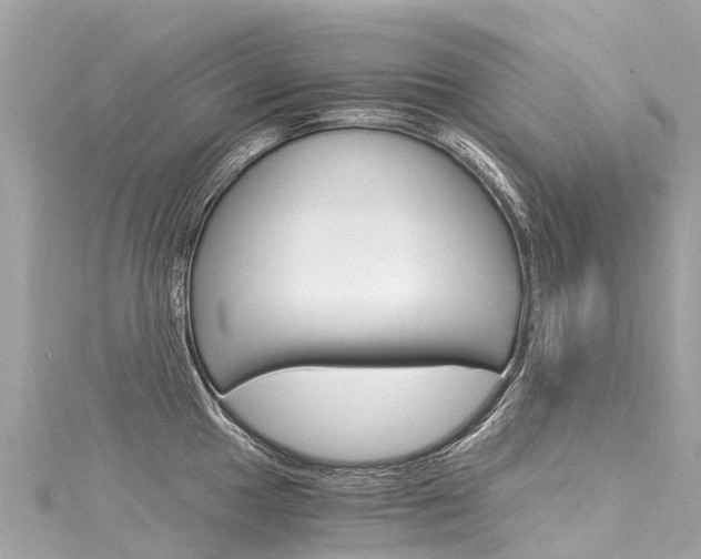 X0000116051049200911201039