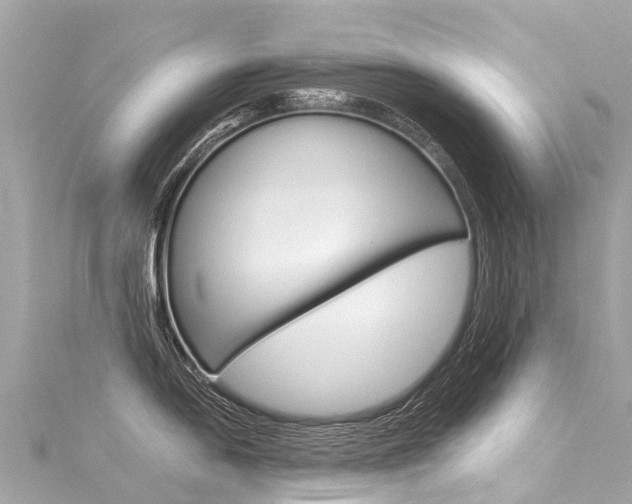 X0000116051054200911201039