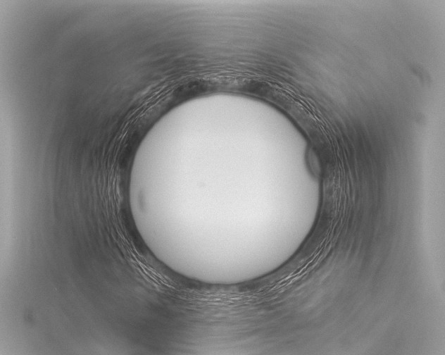X0000116051058200911201038