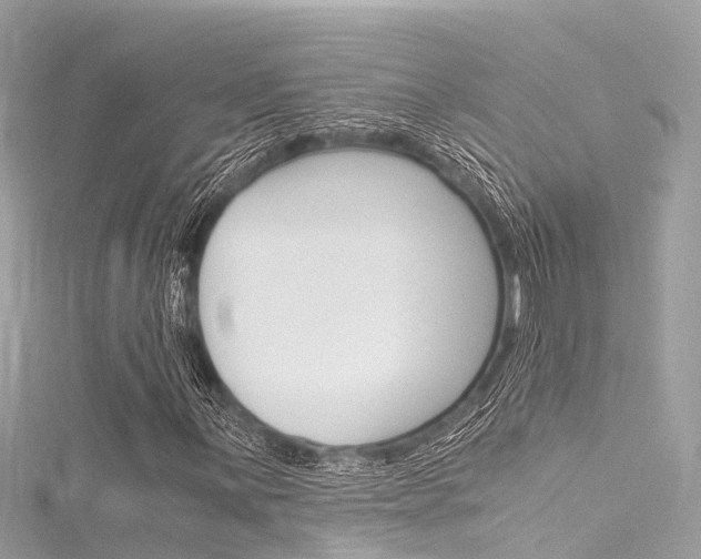 X0000116051059200911201038