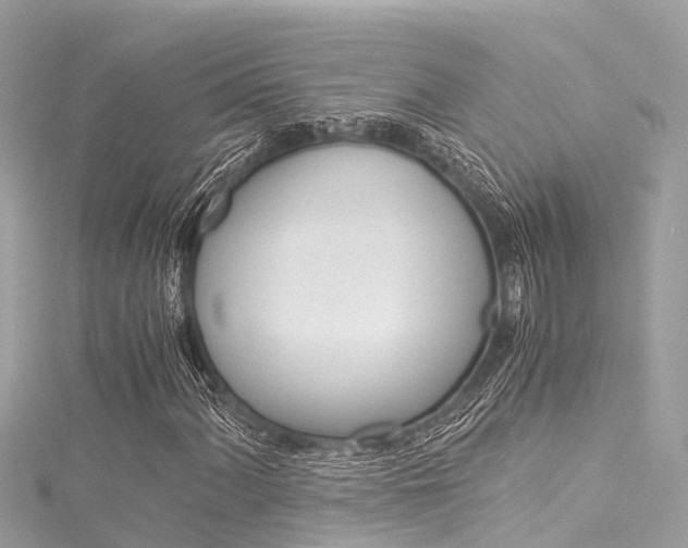 X0000116051060200911201038