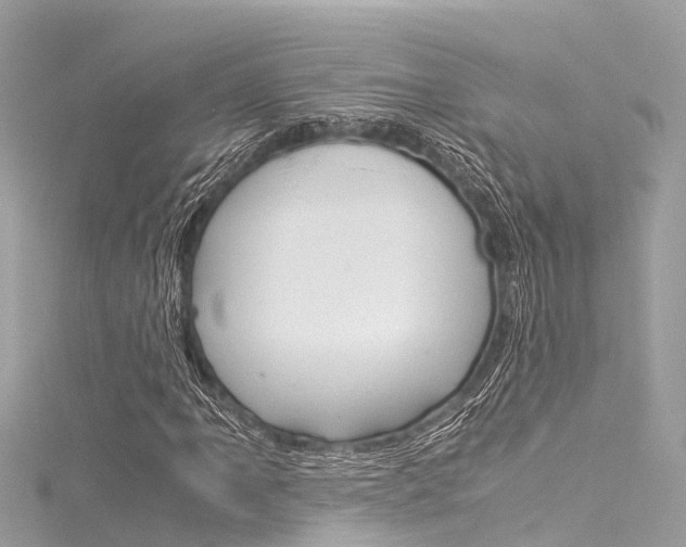 X0000116051061200911201038