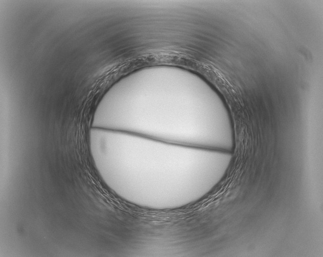 X0000116051062200911201038