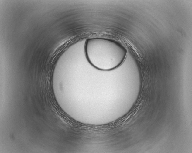 X0000116051064200911201038
