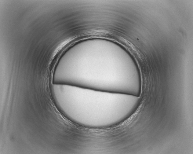 X0000116051066200911201038