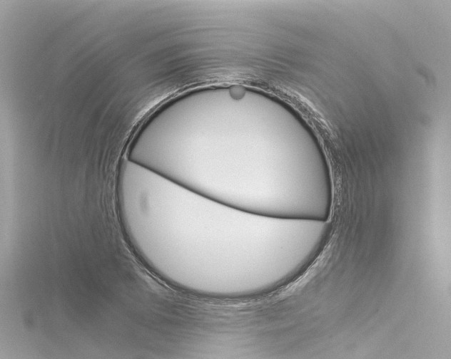 X0000116051073200911201038