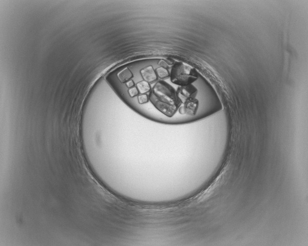 X0000116051081200911201038