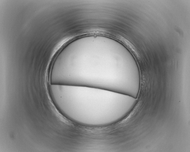 X0000116051082200911201038