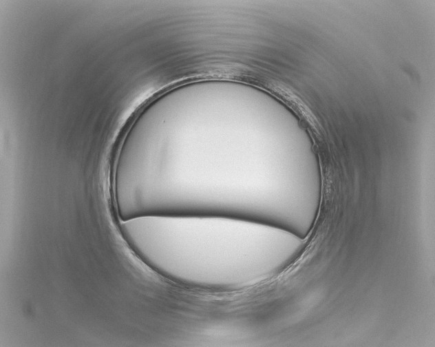 X0000116051083200911201038