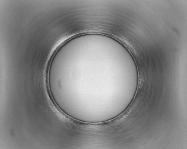 X0000116051086200911201038