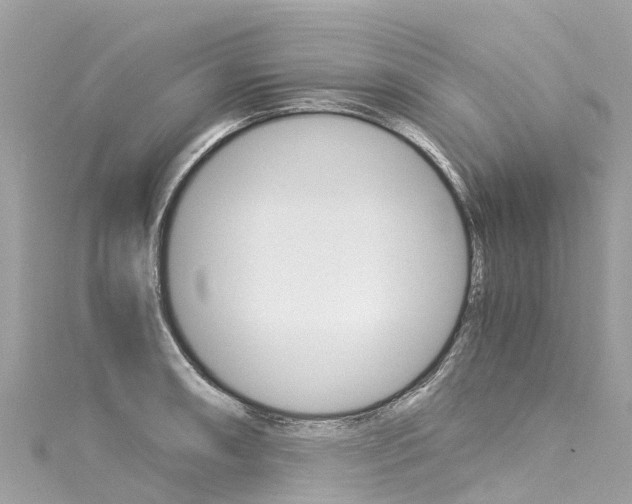 X0000116051090200911201038