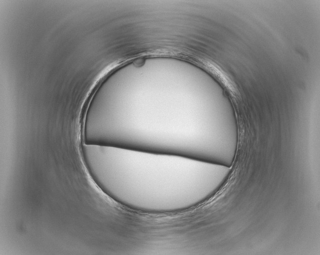 X0000116051095200911201038