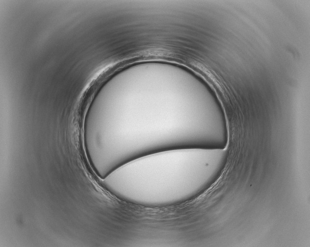 X0000116051115200911201037