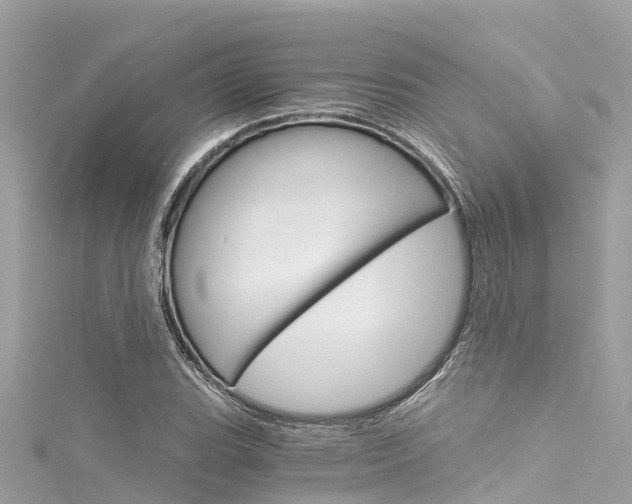X0000116051119200911201037