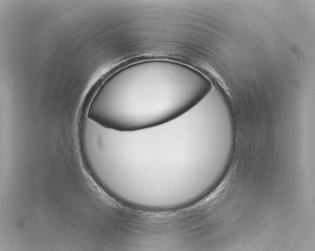 X0000116051122200911201037