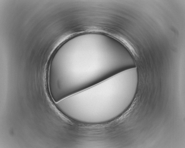 X0000116051142200911201037