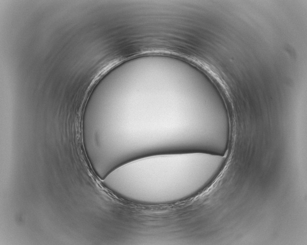 X0000116051145200911201037