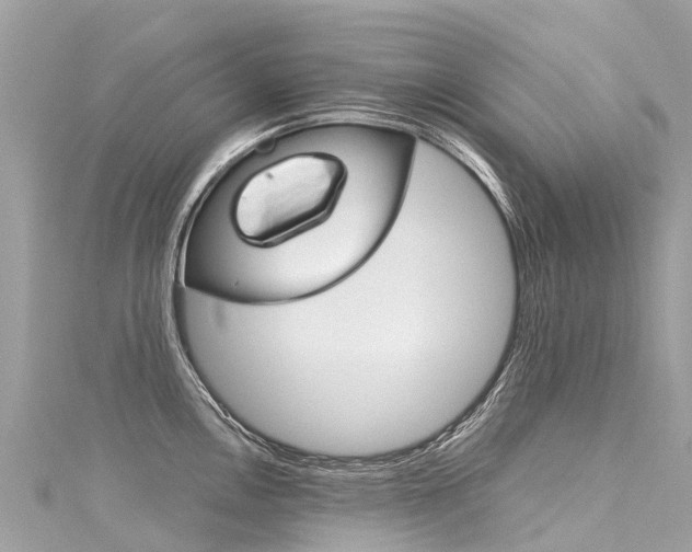 X0000116051146200911201037
