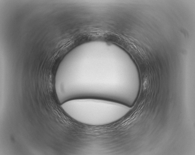 X0000116051156200911201037