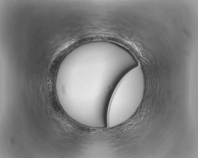 X0000116051159200911201037