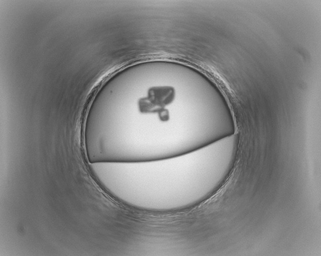X0000116051173200911201037