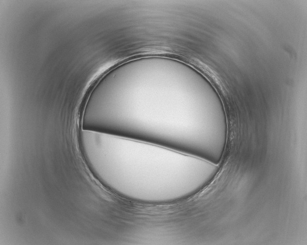 X0000116051179200911201036