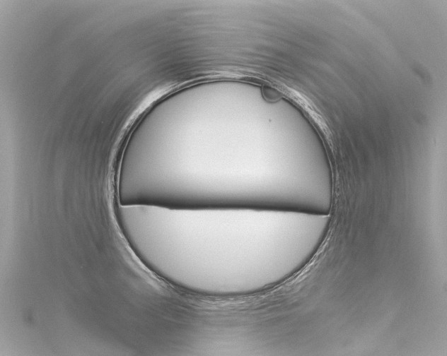 X0000116051187200911201036