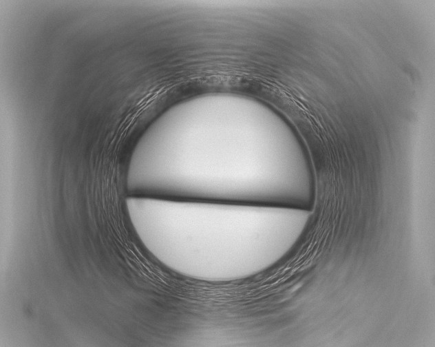 X0000116051202200911201035