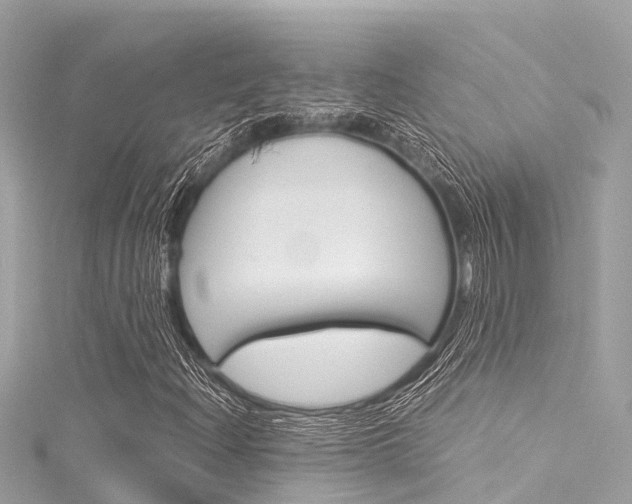 X0000116051204200911201035