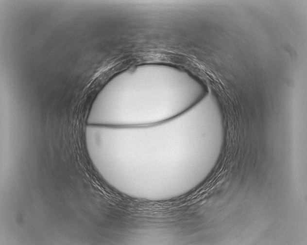 X0000116051206200911201035
