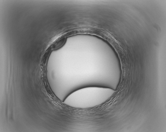 X0000116051208200911201036