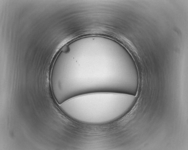 X0000116051226200911201036