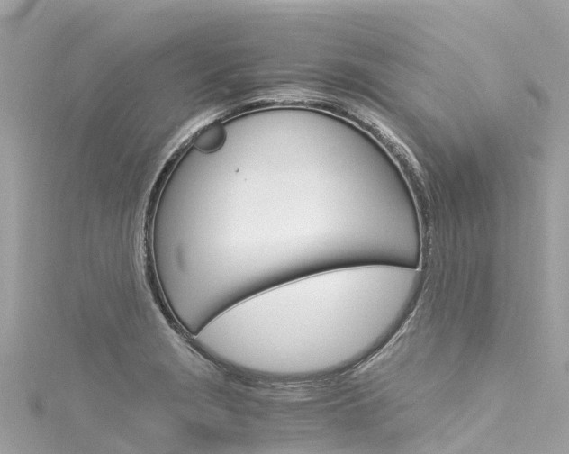 X0000116051229200911201036