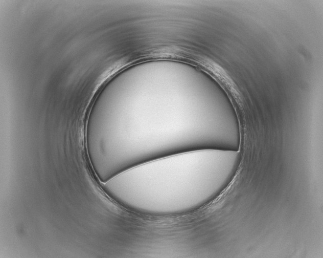 X0000116051234200911201036