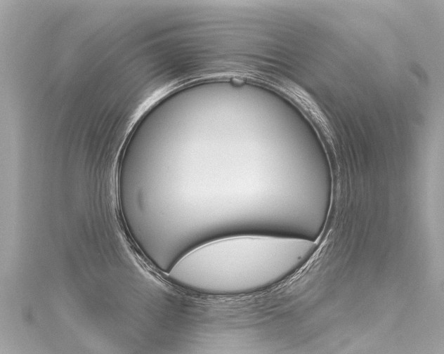 X0000116051242200911201036