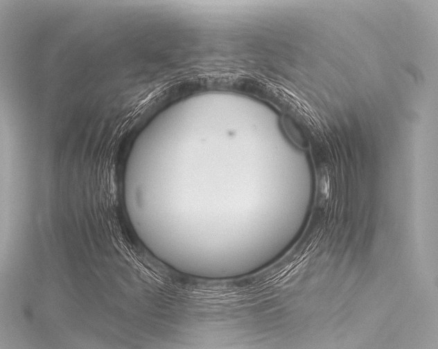 X0000116051252200911201035