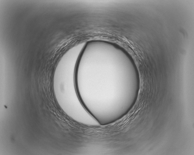 X0000116051253200911201035