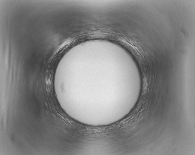 X0000116051254200911201035
