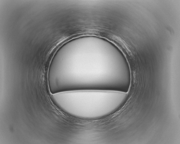 X0000116051260200911201035