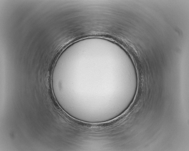 X0000116051265200911201035