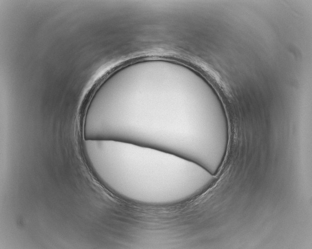X0000116051270200911201035