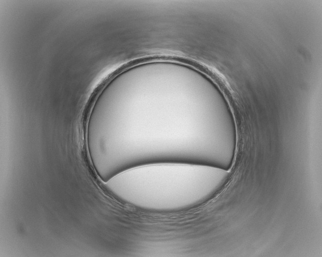 X0000116051271200911201035