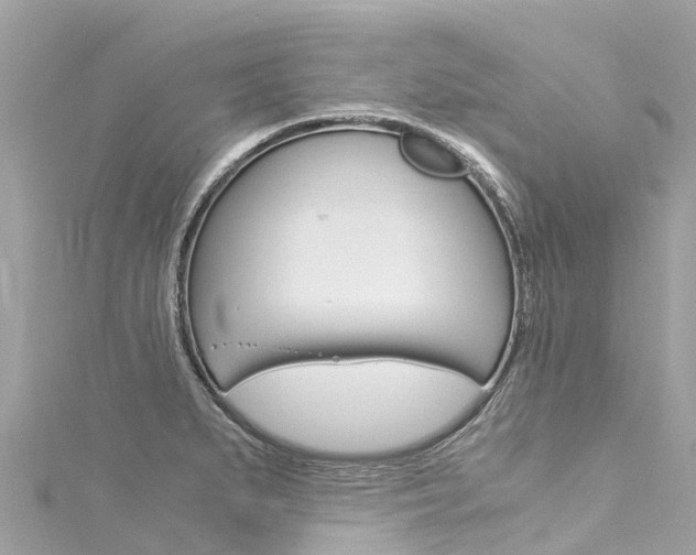 X0000116051279200911201035