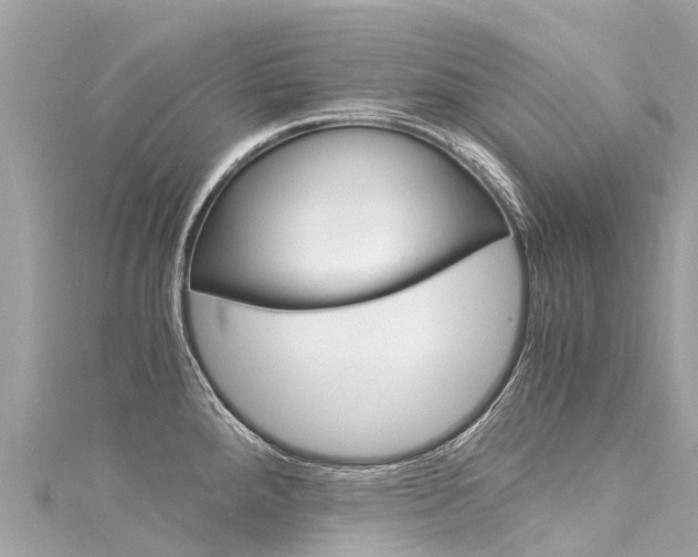 X0000116051288200911201035