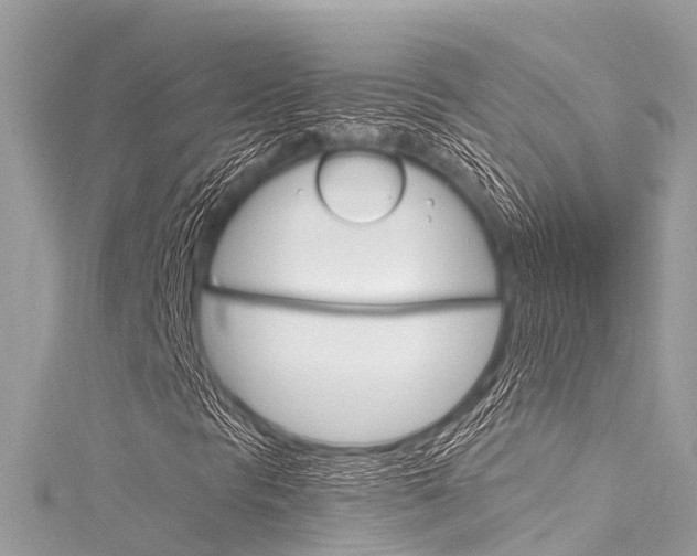 X0000116051297200911201034