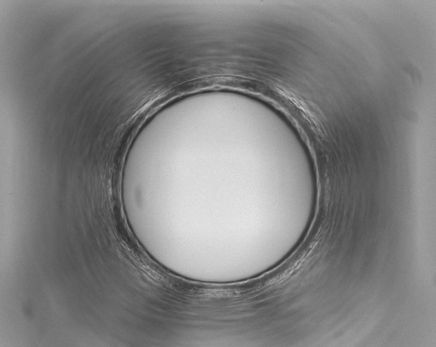 X0000116051305200911201034