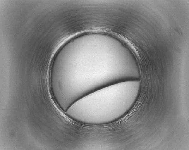 X0000116051343200911201035