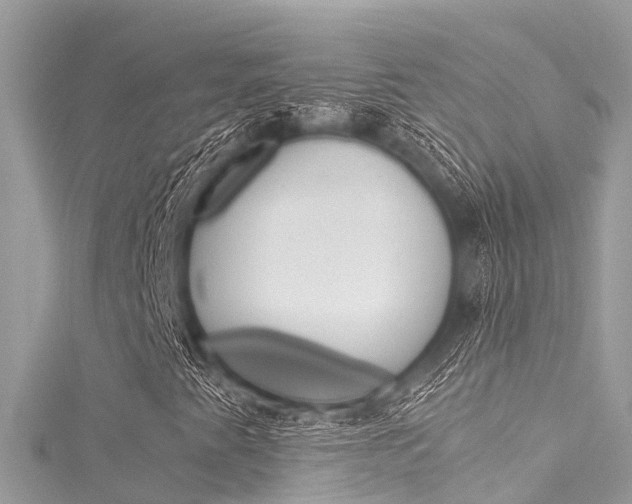 X0000116051345200911201034